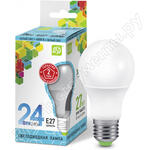LED-A60-standard