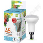 LED-R50-standard LED-R50-standard
