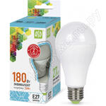 LED-A60-std