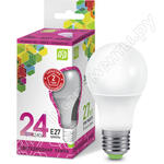LED-A65-std