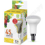 LED-R50-standard LED-R50-standard