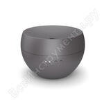 Jasmine titanium