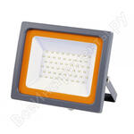 PFL-SC-100w