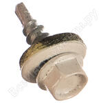 4,8х19 RAL9003 сигнальный белый (250 шт.)