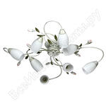 Верона Верона