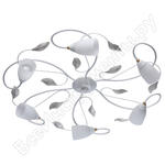 Верона Верона