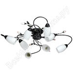 Верона Верона