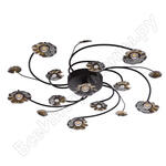 Адриатика Адриатика