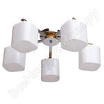 Николь Николь