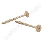 CT 06011 6х110 (100 шт.)