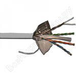 LAN-6EFTP-PT-GY