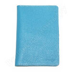 SN-coverdoc-lblue-glt