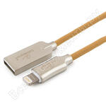CC-P-APUSB02Gd-1M