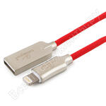 CC-P-APUSB02R-1M