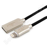 CC-P-APUSB02Bk-1M