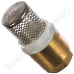 с фильтром 1"