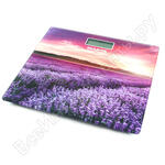 сенсор цветущая лаванда