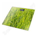 сенсор молодая трава