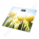 сенсор тюльпаны